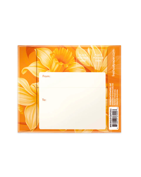Daffodil mailing envelope