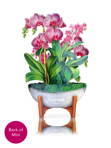 Mini Orchid Oasis greeting card, bully open