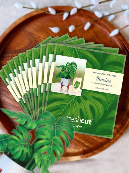 10 pack of Mini Monstera greeting cards