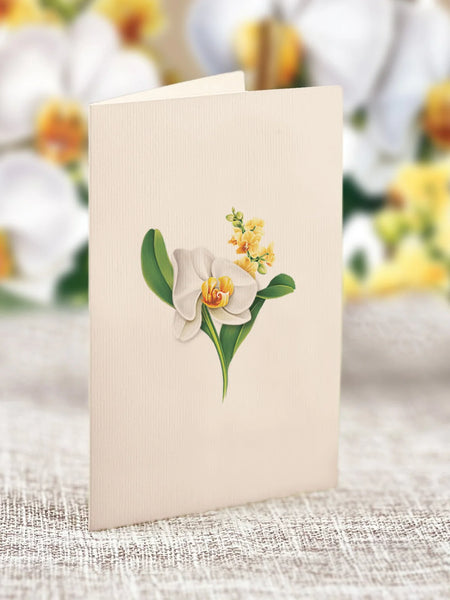 Serenity Orchid notecard