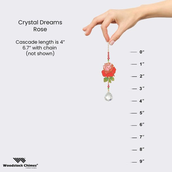 Proportion view of Crystal Dreams Rose