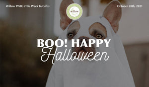 Happy Halloween from Willow Gift & Home
