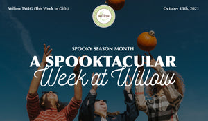 You Don't Want to Miss this Spooktacular Week at Willow!