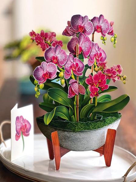 Orchid Oasis greeting card with mini card next to it on table